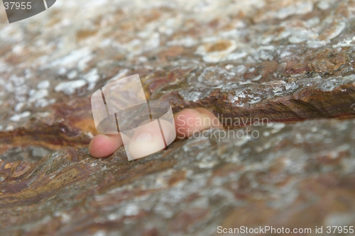 Image of Climbing