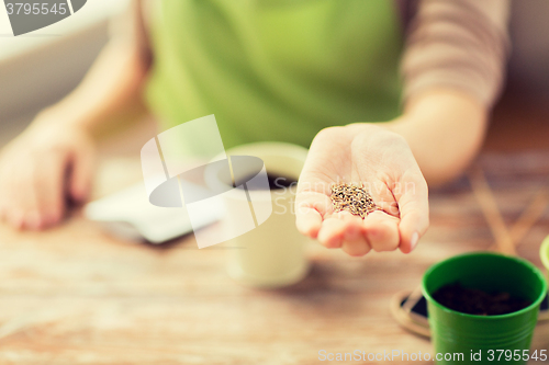 Image of close up of woman hand holding seeds