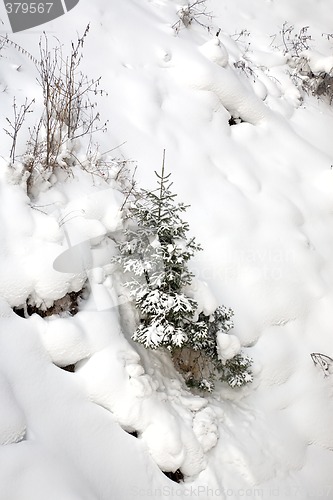 Image of Winter scene