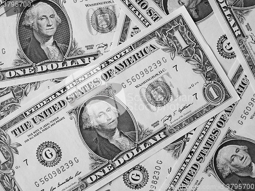 Image of Black and white Dollar notes 1 Dollar