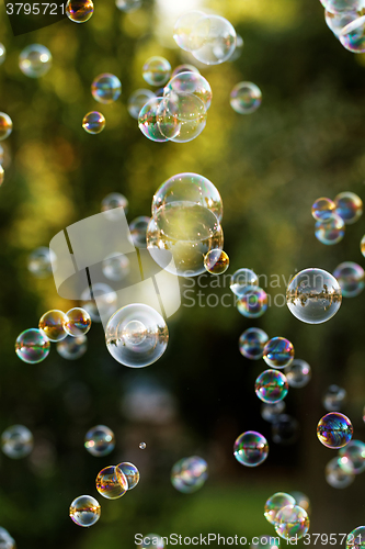 Image of Soap bubbles