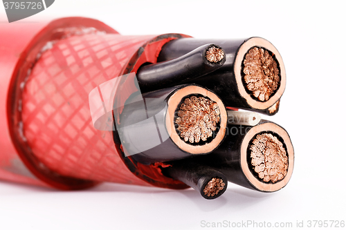 Image of High voltage cable