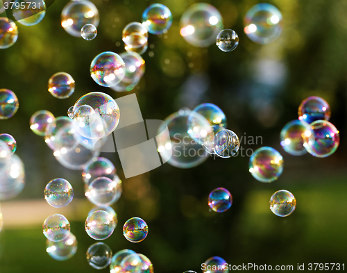 Image of Soap bubbles