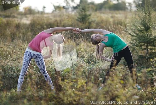 Image of Two supple young women working out together