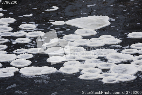 Image of pancake ice