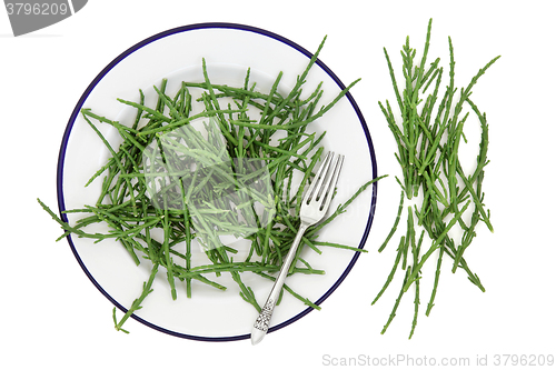 Image of Samphire Vegetable Health Food 