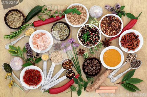 Image of Spice and Herb Collection