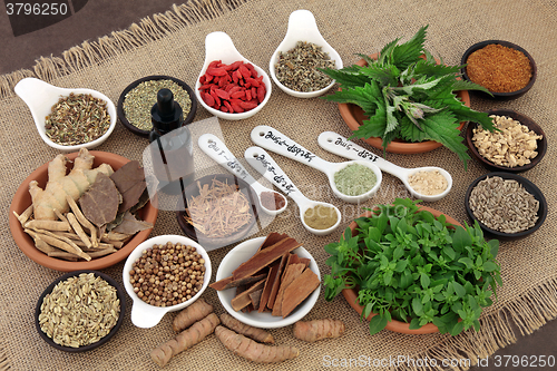 Image of Herbs for Mens Health