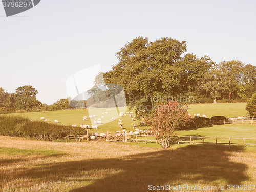 Image of View of Tanworth in Arden vintage