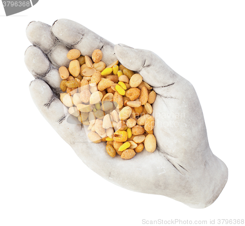 Image of Fresh mixed salted nuts in a bowl (hand), peanut mix