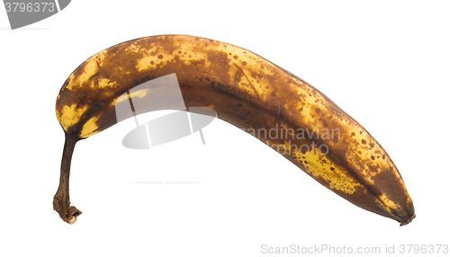 Image of Over ripe banana, isolated