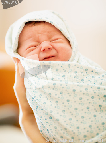 Image of Portrait of Newborn Baby