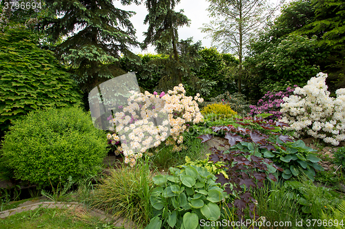 Image of Beautiful spring garden design with rhododendron