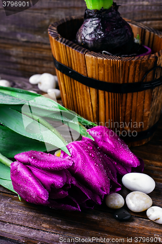 Image of Bouquet of purple tulips