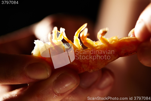 Image of Shrimp in hands. Horizontal shot.