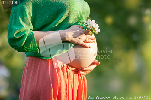 Image of Bare Pregnant Belly with Flower