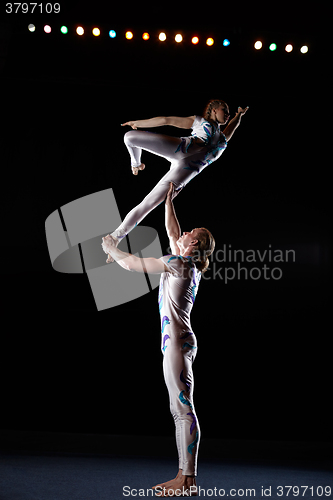 Image of Circus artists perform different tricks.