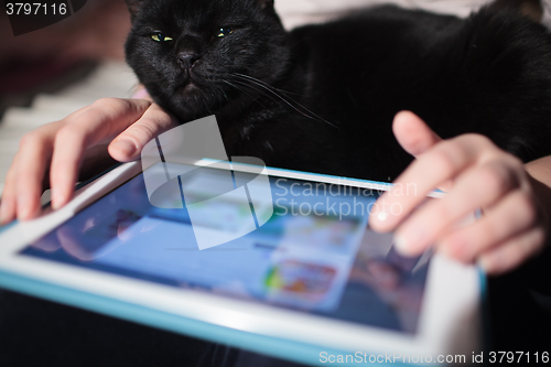 Image of Woman using pad with cat on the lap