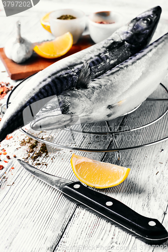 Image of Carcasses frozen mackerel