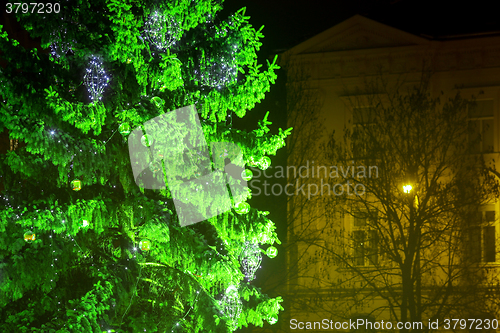 Image of Green Christmas tree at Advent