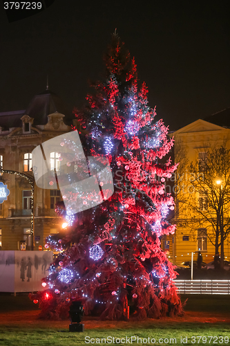 Image of Red Christmas tree in Zagreb