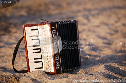 Image of Accordian on a sandy beach