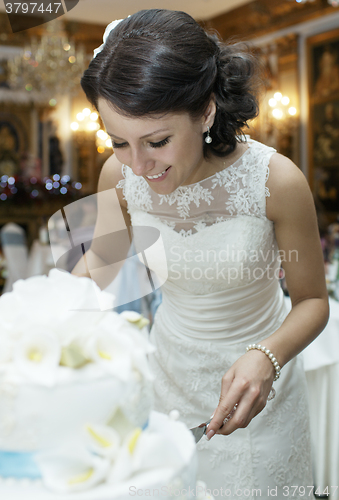 Image of Smiling beautiful bride cutting the wedding cake