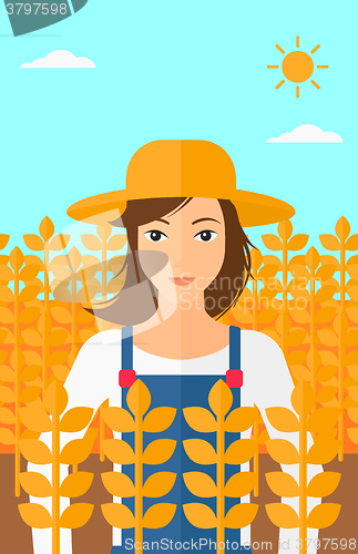 Image of Man in wheat field.