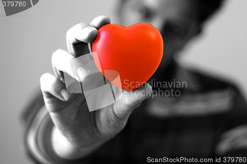 Image of Give You My Heart (bw)