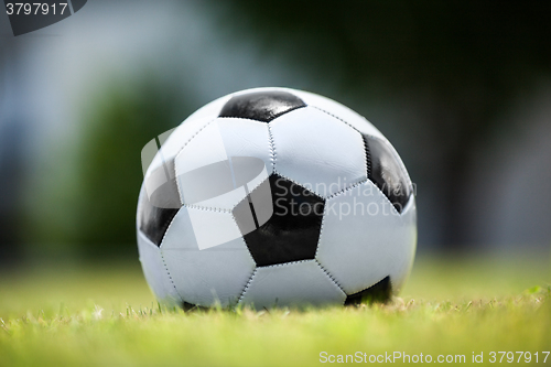 Image of Soccer ball on green lawn