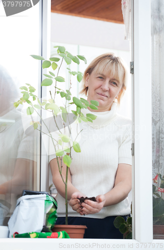 Image of Lady adding soil in pot