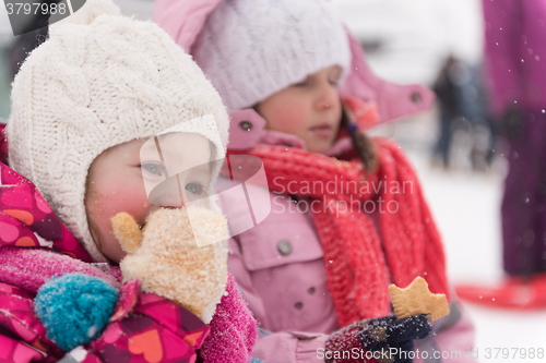 Image of portrait of two little grils sitting together on sledges