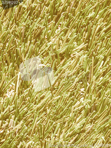 Image of  Artificial grass vintage