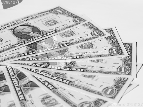 Image of Black and white Dollar notes 1 Dollar