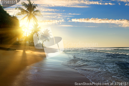 Image of Bright sun and ocean