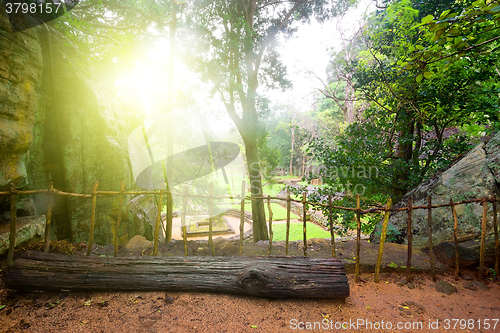 Image of Beautiful park on Sigiriya