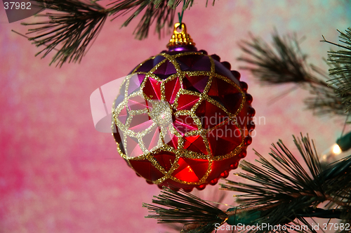 Image of Christmas Tree