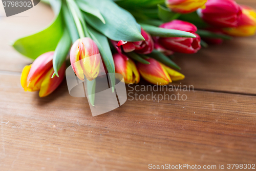 Image of close up of tulip flowers on wooden table