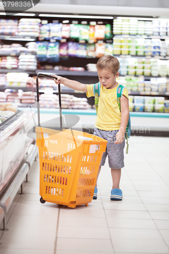 Image of Little boy with big shopping cart in the store