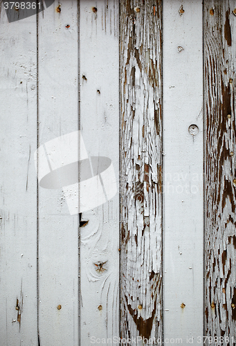 Image of Gray wooden wall. Macro shot.