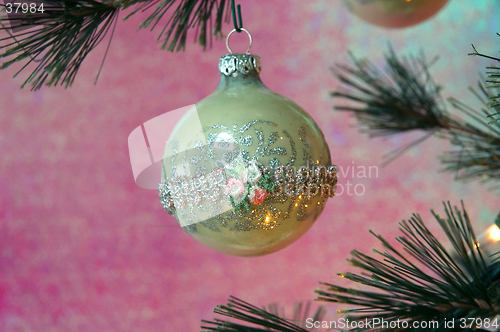 Image of Christmas Tree