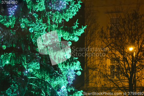 Image of Green Christmas tree in Zagreb