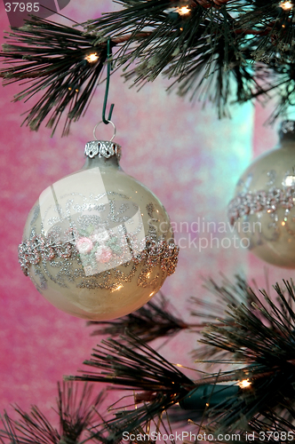 Image of Christmas Tree