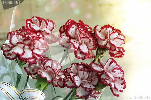 Image of A bouquet of red and white carnations