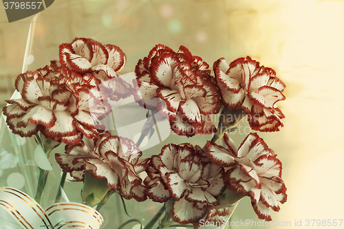 Image of A bouquet of red and white carnations