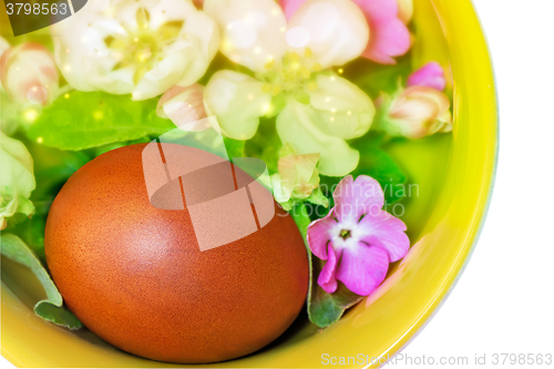 Image of Easter egg, violets and Apple blossoms.