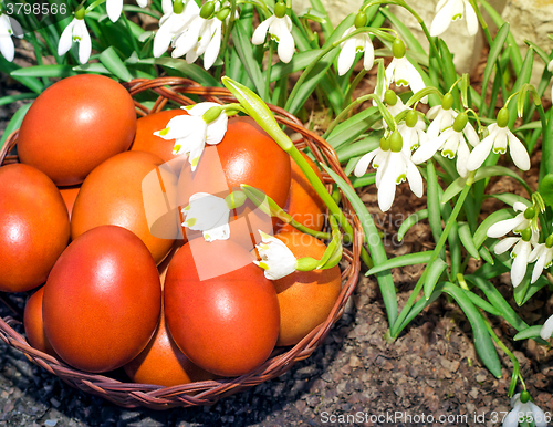 Image of Easter eggs in a wicker basket and snowdrops.