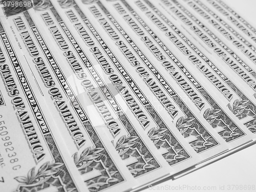 Image of Black and white Dollar notes 1 Dollar