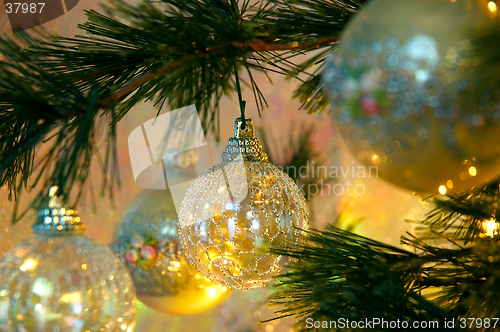 Image of Christmas Tree