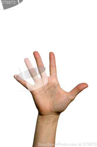 Image of Open palm hand